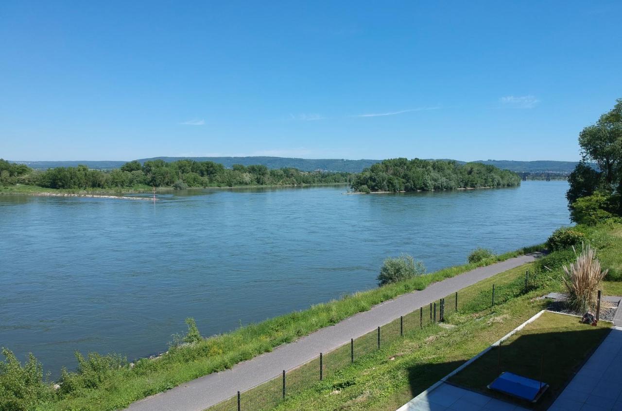 Rhein Lounge Daire Urmitz Dış mekan fotoğraf